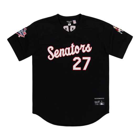 Harrisburg Senators EFF MiLB Vintage V-Neck Baseball Jersey