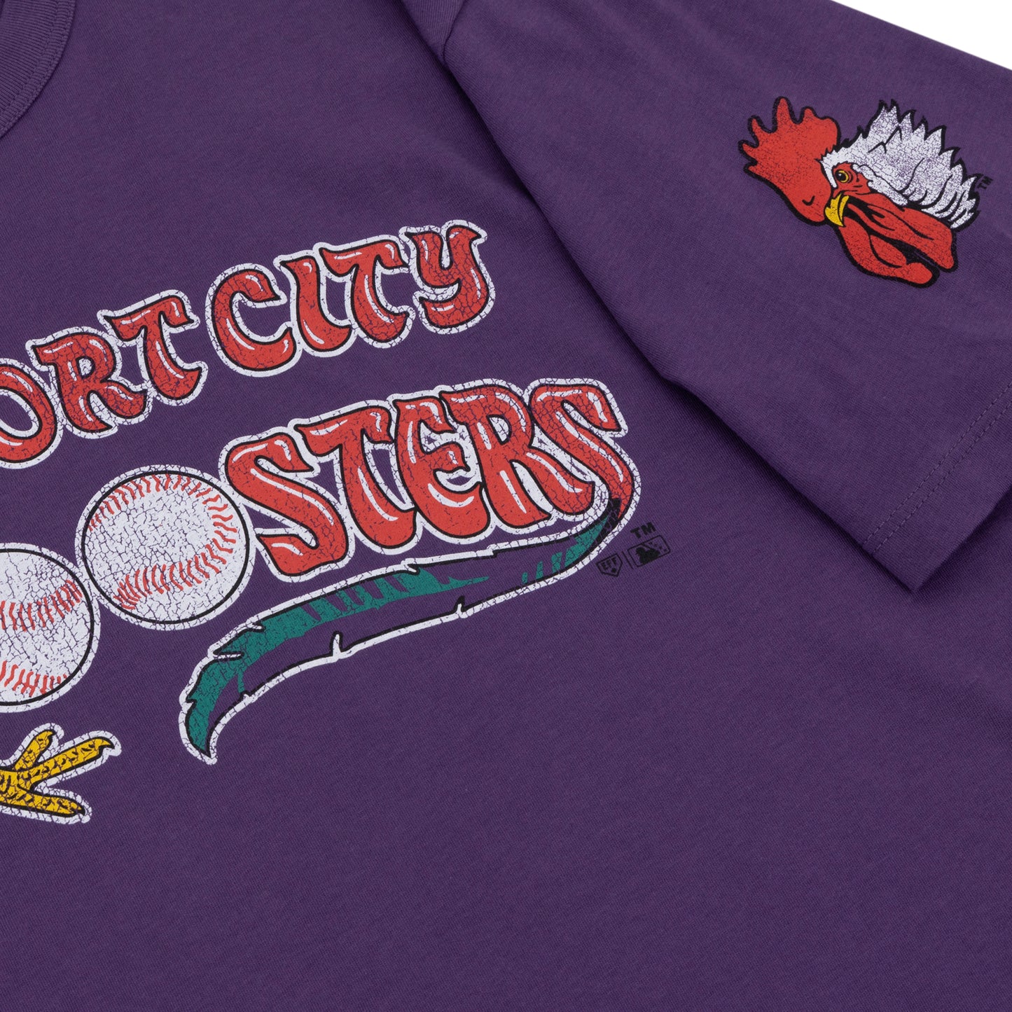 Port City Roosters EFF MiLB Vintage T-Shirt