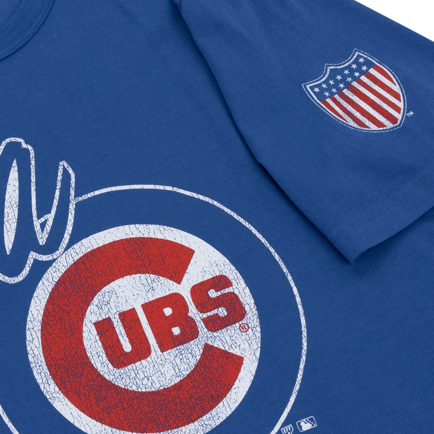 Iowa Cubs EFF MiLB Vintage T-Shirt