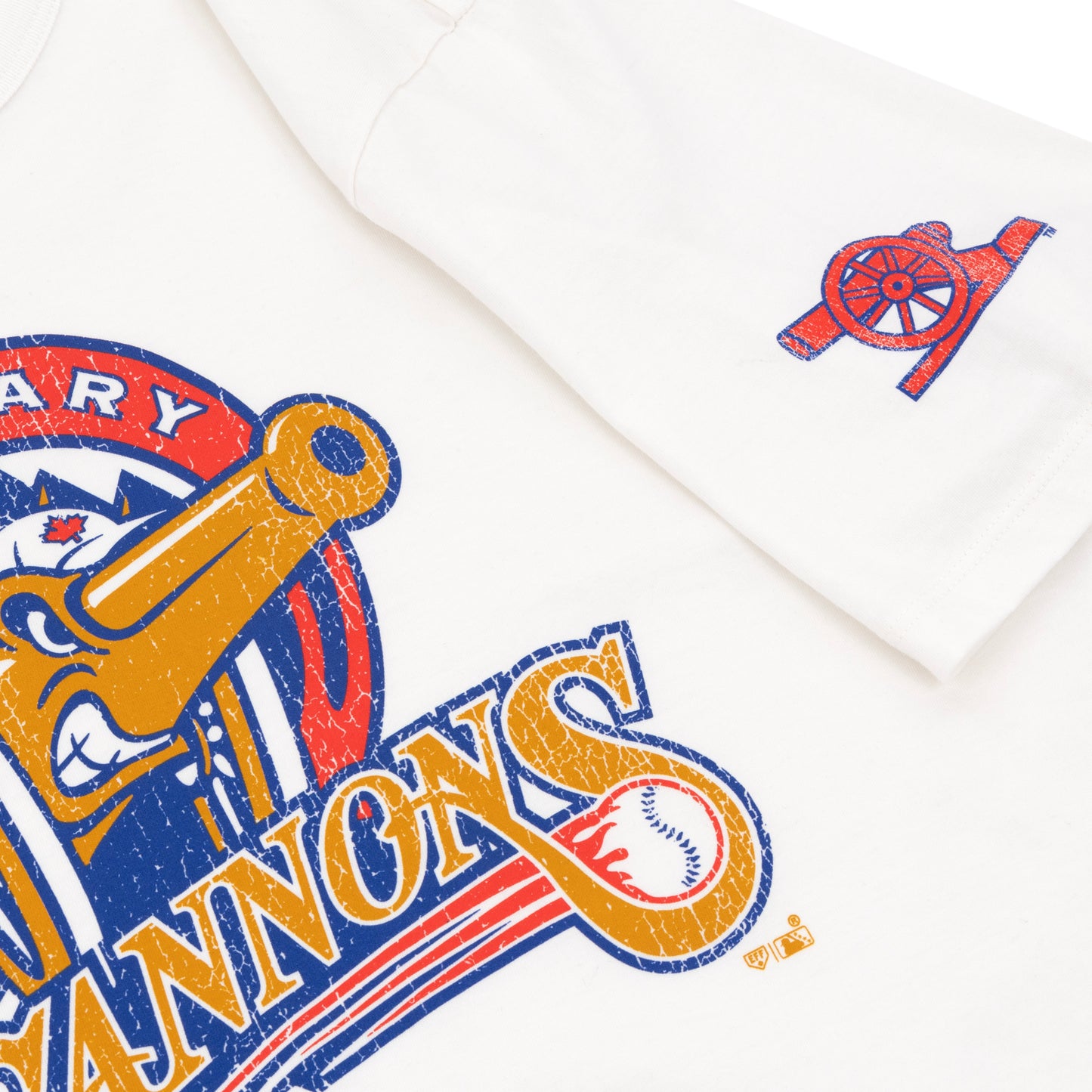 Calgary Cannons EFF MiLB Vintage T-Shirt