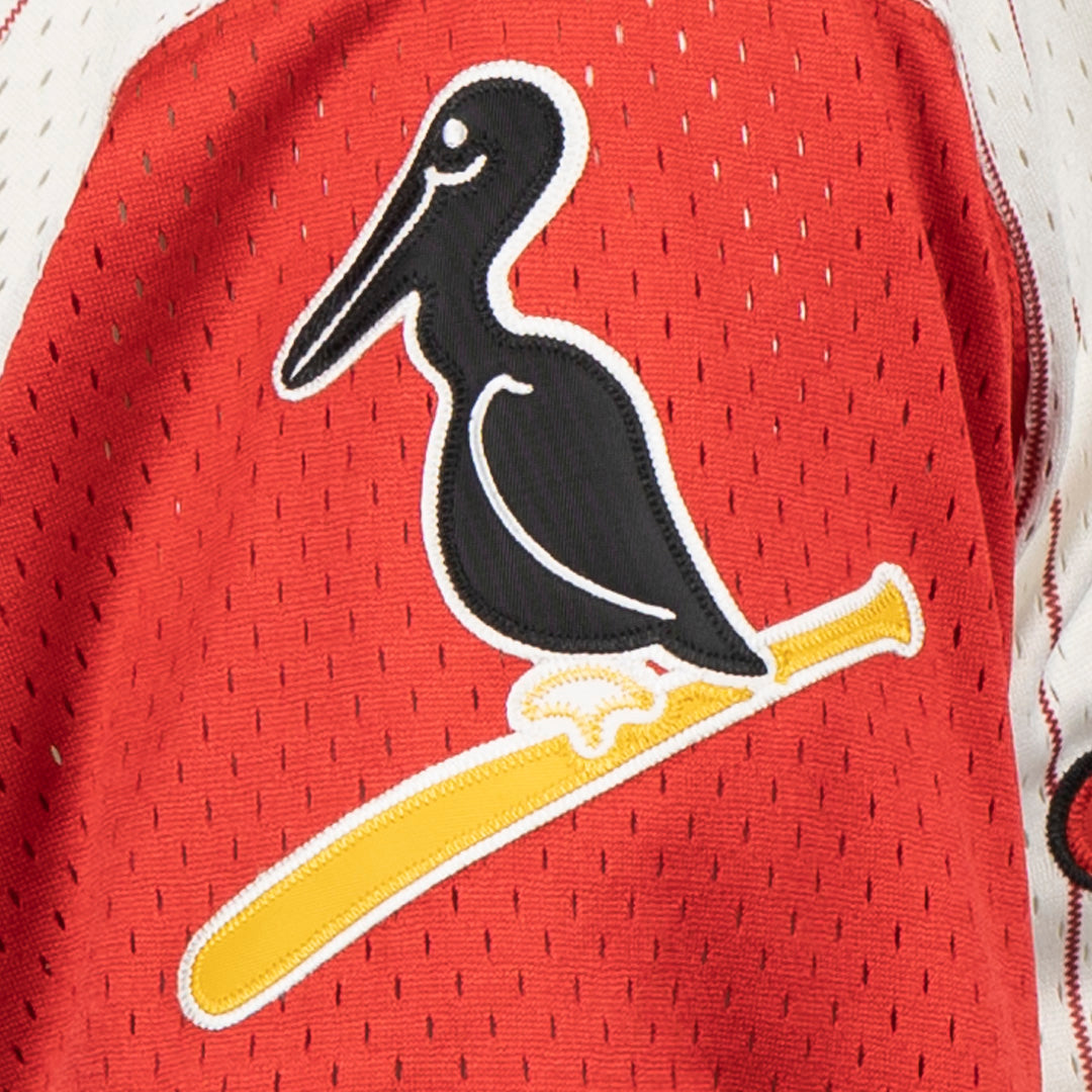 New Orleans Black Pelicans Vintage Inspired NL Pinstripe Replica V