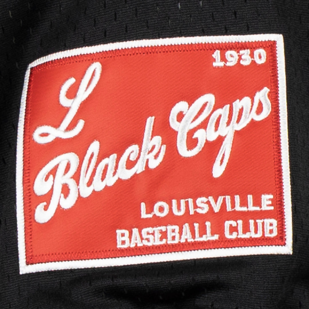 Ebbets Field Flannels Louisville Black Caps Vintage Inspired NL Pinstripe Replica V-Neck Mesh Jersey