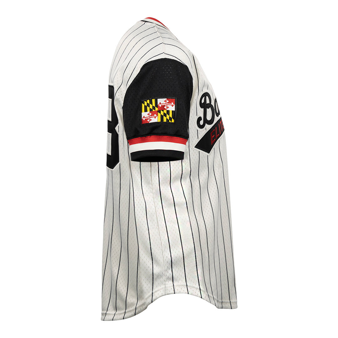 Ebbets Field Flannels Chicago American Giants Vintage Inspired NL Replica Pinstripe Mesh Shorts