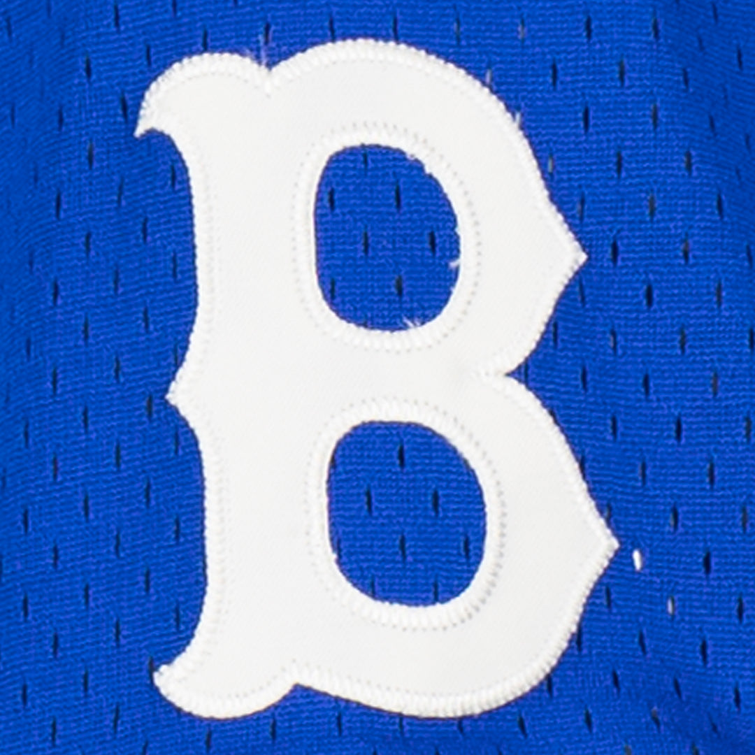 Stitches Men's Negro League Baseball Brooklyn Royal Giants Blue Jersey, Medium